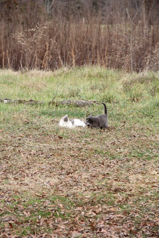 [IMG_0395%255B2%255D.jpg]