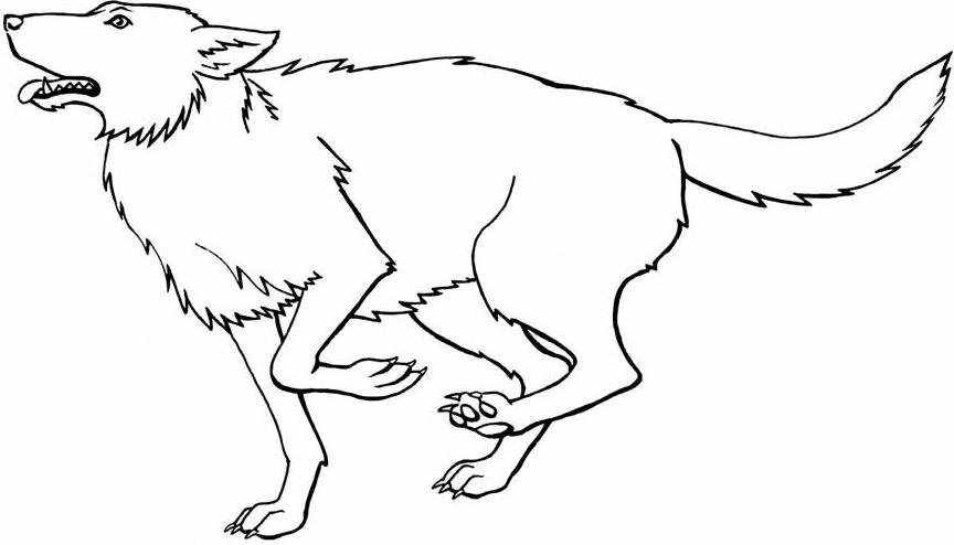 Colorear lobo y pastor - Imagui