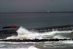 IMG_1041.jpg