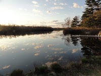 DSC03187 - Copy.JPG