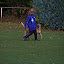 Herbstprufung Begleithunde 2010