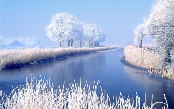 Image Dimension: 597x375 :: Photos: Trust me its Real Photos: Trust me its Real