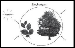 Rumus Perubahan Entalpi