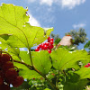 dsc01399.jpg dsc01399.jpg