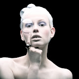 Plastic Fantastic by Tomaas