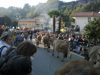 23102011659.jpg
