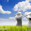 friendz for ever 02.jpg
