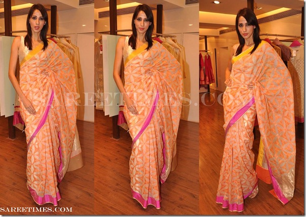 Rahul_Mishra_Designer_Saree