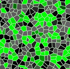 31 31