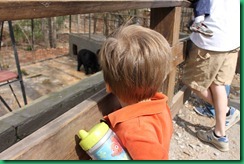 Ty with bear Ty with bear