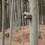singold-bote_waldlehrpfad-schwabegg_037.jpg