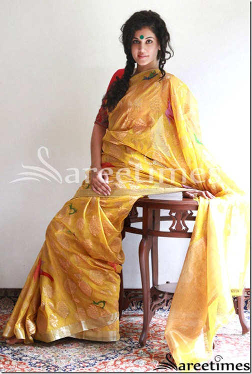 Taapsee_Gaurang_Sarees1
