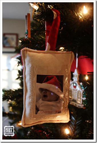 ornament1 ornament1