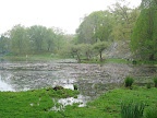 The lake that Innisfree garden is based around, Tyrell Lake. When you first enter the garden, it is from atop a hill that allows you to survey the site - but once you start walking, you see lots of surprising scenes and places that were hidden from view.