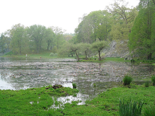 The lake that Innisfree garden is based around, Tyrell Lake. When you first enter the garden, it is from atop a hill that allows you to survey the site - but once you start walking, you see lots of surprising scenes and places that were hidden from view.