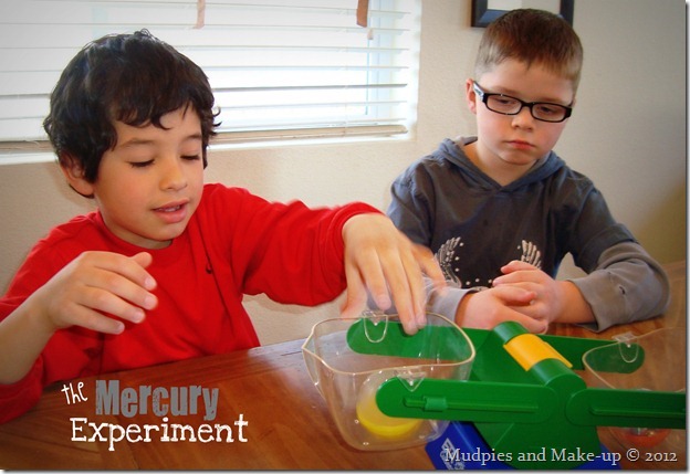 The Mercury Experiment The Mercury Experiment