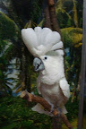 DSC01349.JPG