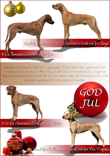 Kennel Shavano Kennel Shavano