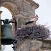 Albuera 1811-2011 PiotrZurek-1098.jpg