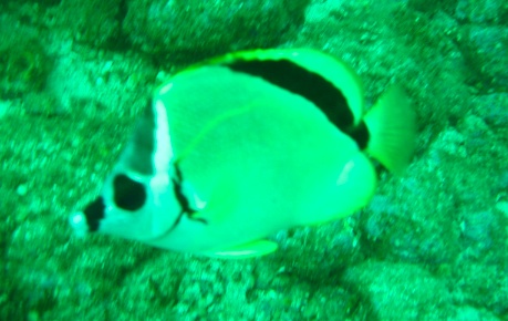 IMG_4043.jpg IMG 4043