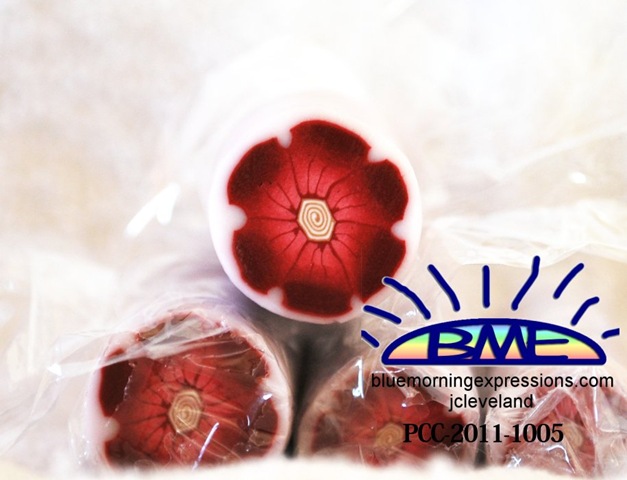 [PCC-2011-1005%255B2%255D.jpg]