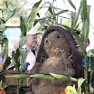 20110903_9178.JPG