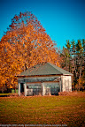 20111108-IMG_3562.jpg