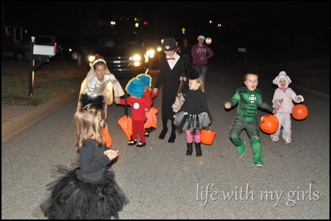 DSC_0011 DSC_0011