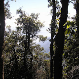 Poco Ngandonalu - heading back down to Ruteng (Daniel Quinn, August 2010)