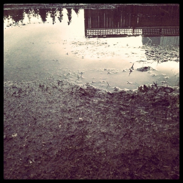 [IMG_2761%255B4%255D.jpg]