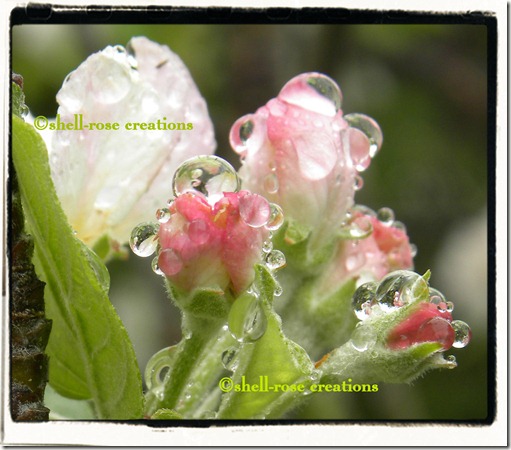 20120502_88 (4)c (4)c