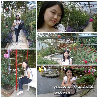 [bday5%255B3%255D.jpg]