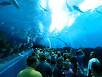 DSCN4051.JPG