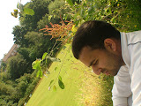DSCF4183.JPG