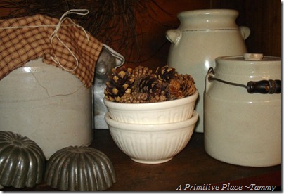 A Primitive Place ~Tammy