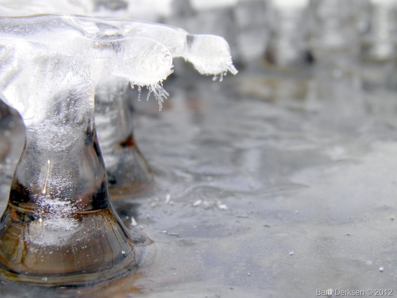 [Barb%2520Derksen%2520Ice%25202012%2520%2520%252816%2529%255B6%255D.jpg]