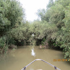 IMG_5772.JPG
