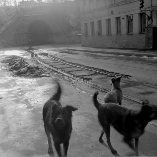 clip_image007 clip_image007