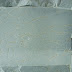 R0028048.JPG