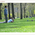centralpark.11.jpg