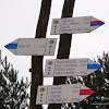 dsc05342.jpg