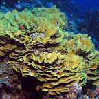 IMG_9567.JPG