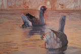Ganzen met jong II - 24 x 30 cm -olieverf op paneel