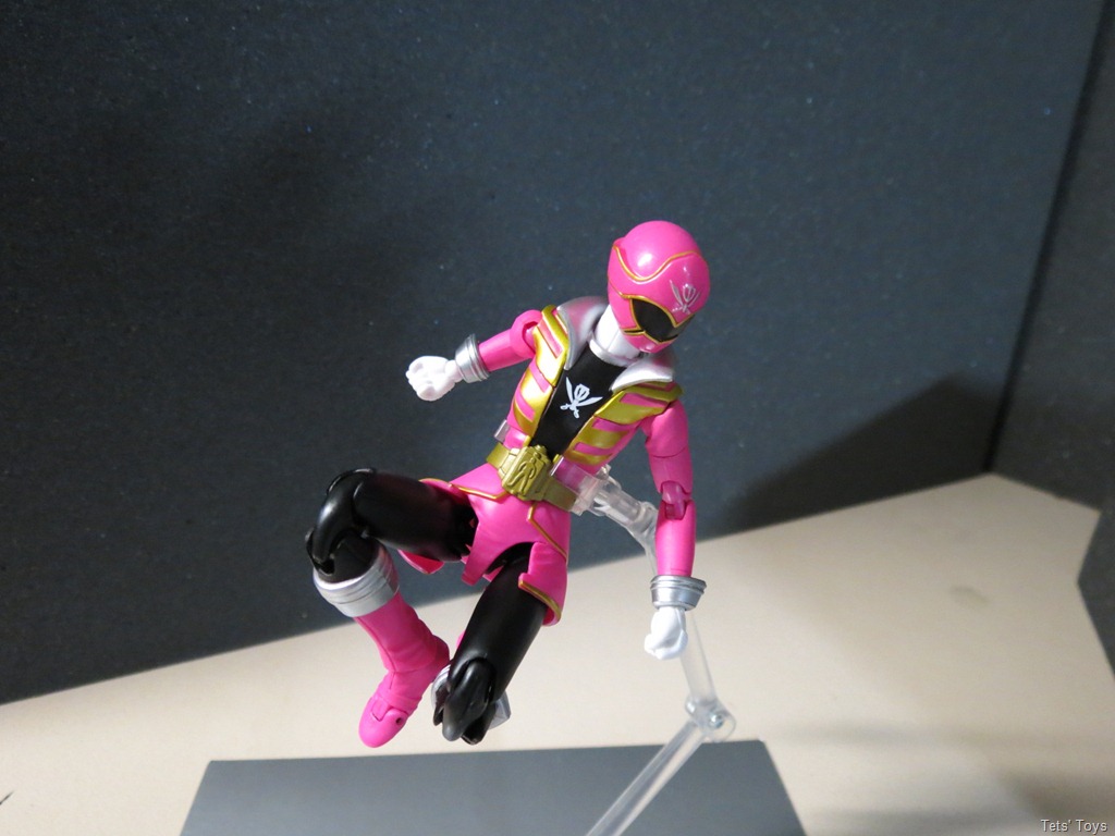 [Gokai-Pink-273.jpg]