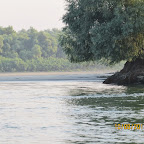 IMG_6451.JPG