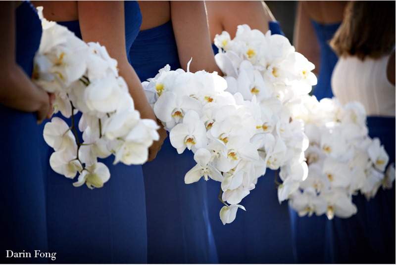 [white-phalaenopsis-wedding-bouquet-a%255B1%255D.jpg]