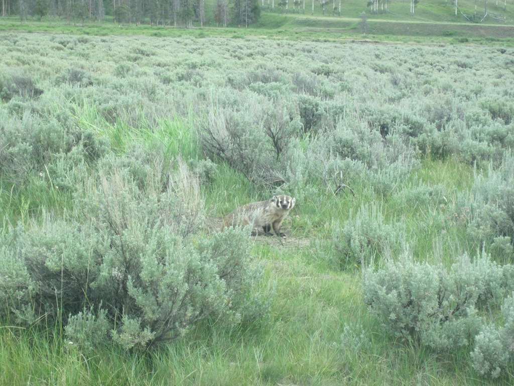 [IMG_1264%255B4%255D.jpg]