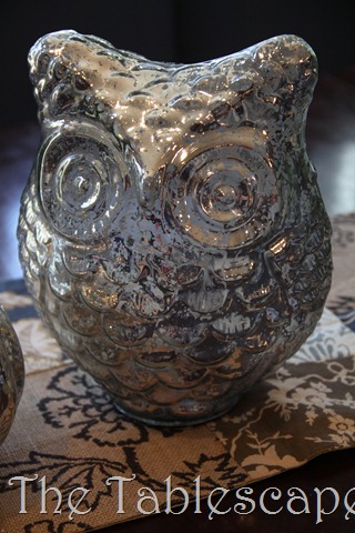 [Owls%2520058%255B3%255D.jpg]