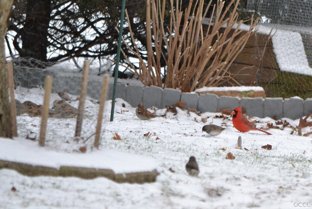 [DSC_6791%255B4%255D.jpg]