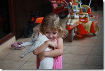 IMG_1534 IMG_1534